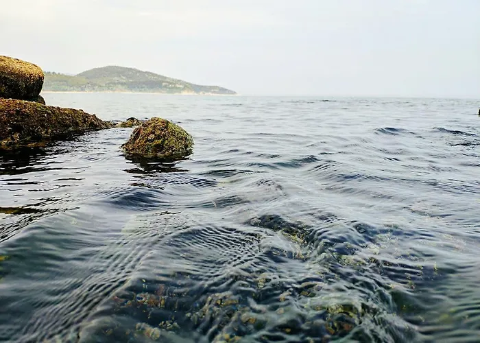 Sailor's Delight Dom wakacyjny *