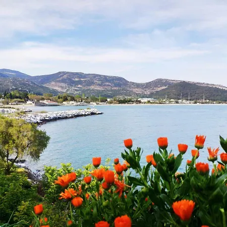 Sailor's Delight كافالا