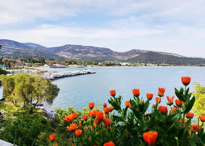 Sailor's Delight Kavala